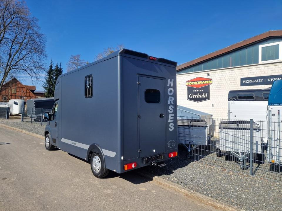 MSG Stablehopper Pferdetransporter Pferdeanhänger Böckmann - Hobuseauto: pilt 4 MSG Stablehopper Pferdetransporter Pferdeanhänger Böckmann - Hobuseauto: pilt 4