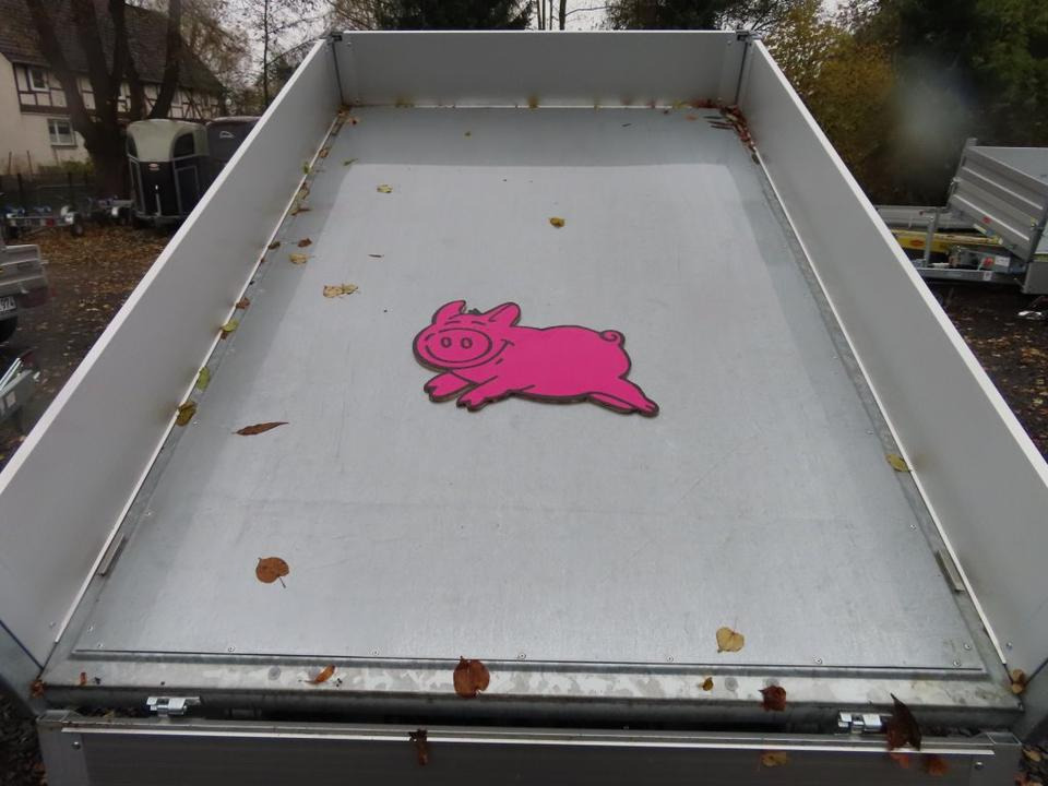 Kalluri järelhaagis Schweinepreis, Böckmann PKW-Anhänger, Rückwärtskipper, 2,7 to.: pilt 16