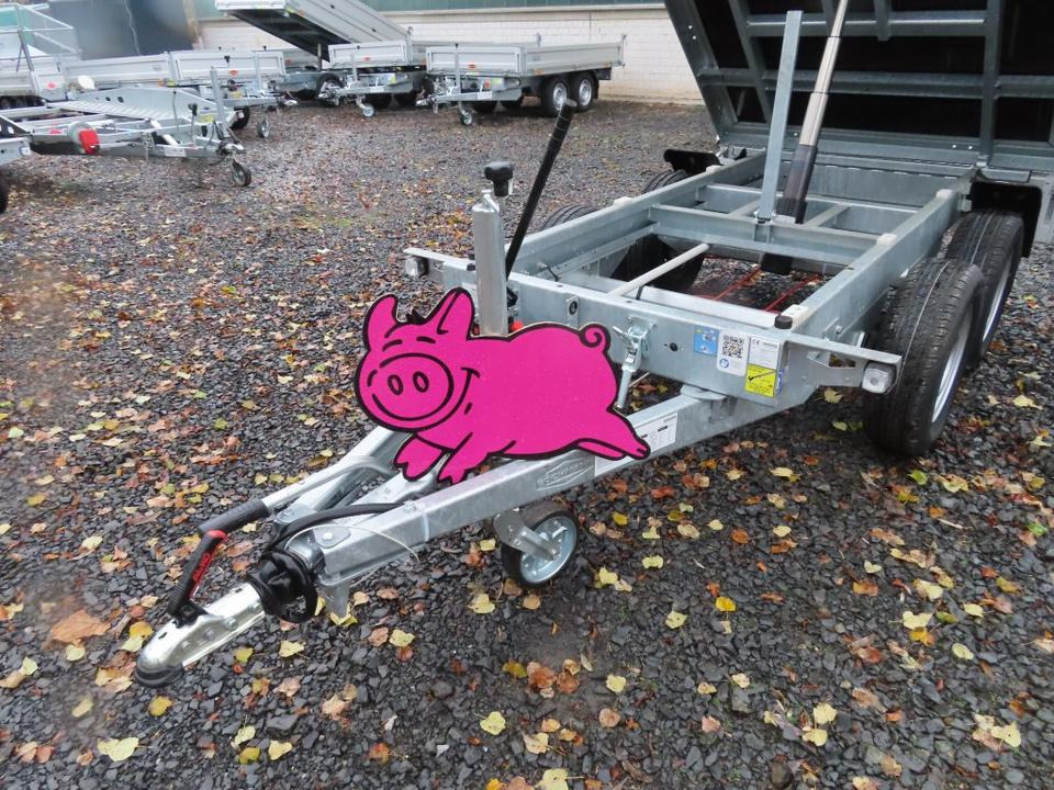 Kalluri järelhaagis Schweinepreis, Böckmann PKW-Anhänger, Rückwärtskipper, 2,7 to.: pilt 15