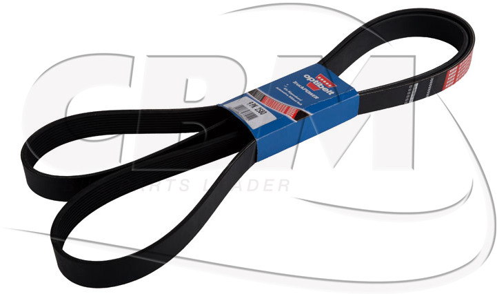 DAYCO BELT - KASSBOHRER DAF IRISBUS - IVECO - RVI (8311000859 | 1518746 | 1160281 | 7701003456) - Rihm - Buss: pilt 1 DAYCO BELT - KASSBOHRER DAF IRISBUS - IVECO - RVI (8311000859 | 1518746 | 1160281 | 7701003456) - Rihm - Buss: pilt 1