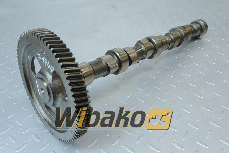 Camshaft for engine Case 6T-590 3914639 - Nukkvõll - Ehitusmasinad: pilt 1 Camshaft for engine Case 6T-590 3914639 - Nukkvõll - Ehitusmasinad: pilt 1