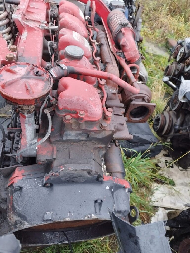 MAN D2865 LF03 MAN F90 - Mootor - Veoauto: pilt 3 MAN D2865 LF03 MAN F90 - Mootor - Veoauto: pilt 3