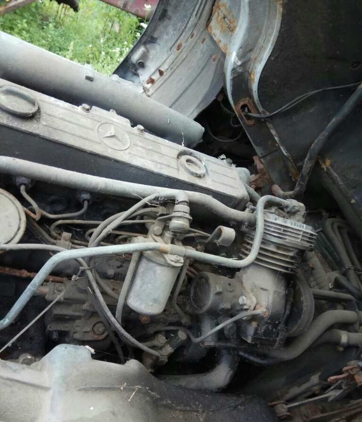 Mercedes-Benz OM366 170 E2 Mercedes-Benz - Mootor - Veoauto: pilt 1 Mercedes-Benz OM366 170 E2 Mercedes-Benz - Mootor - Veoauto: pilt 1