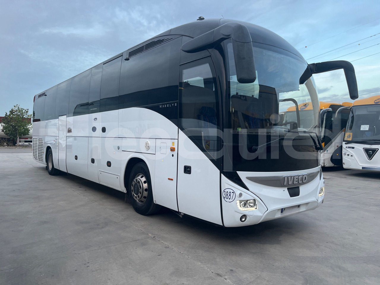 Iveco Magelys - Kaugsõidu buss: pilt 1 Iveco Magelys - Kaugsõidu buss: pilt 1
