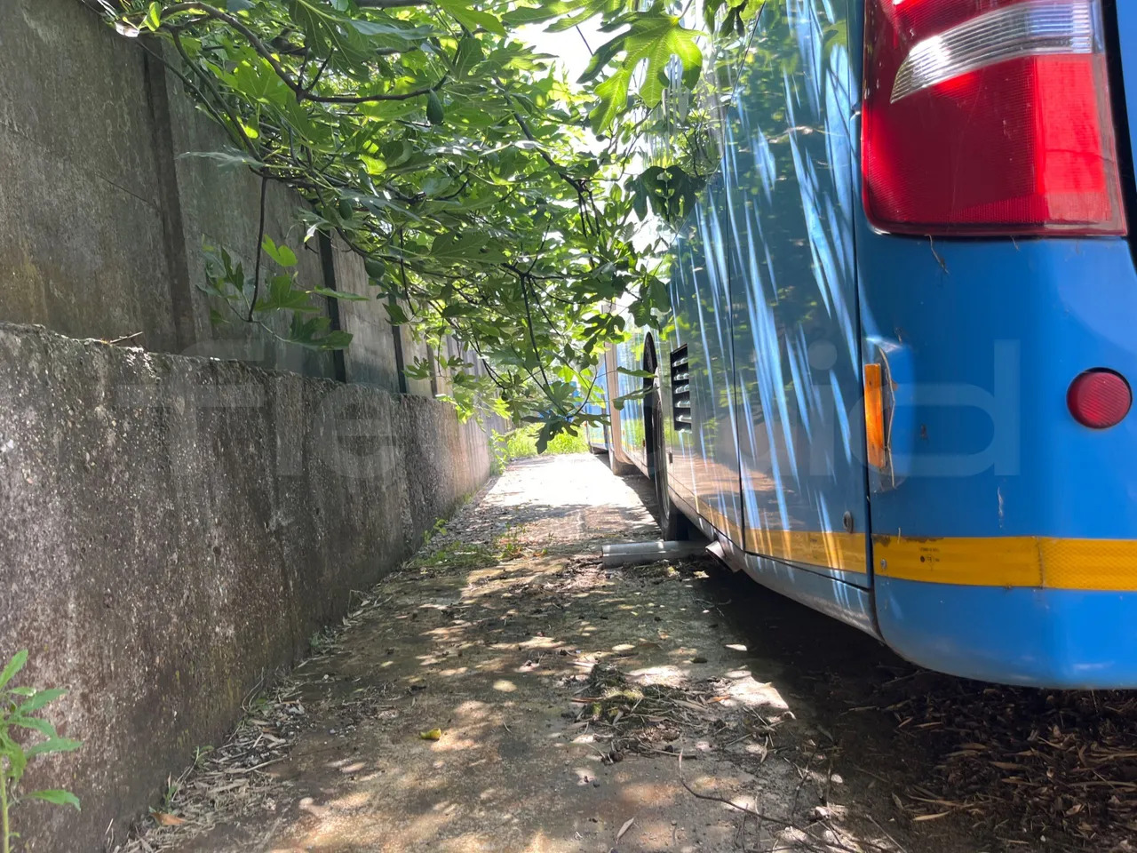 Mercedes-Benz Citaro G - Linnaliini buss: pilt 4 Mercedes-Benz Citaro G - Linnaliini buss: pilt 4