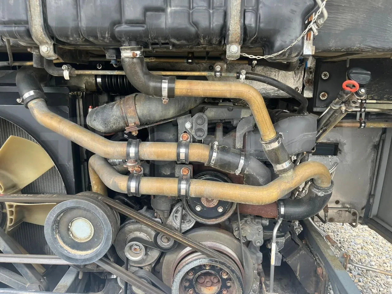 Maakonnaliini buss Mercedes-Benz Intouro: pilt 15 Maakonnaliini buss Mercedes-Benz Intouro: pilt 15