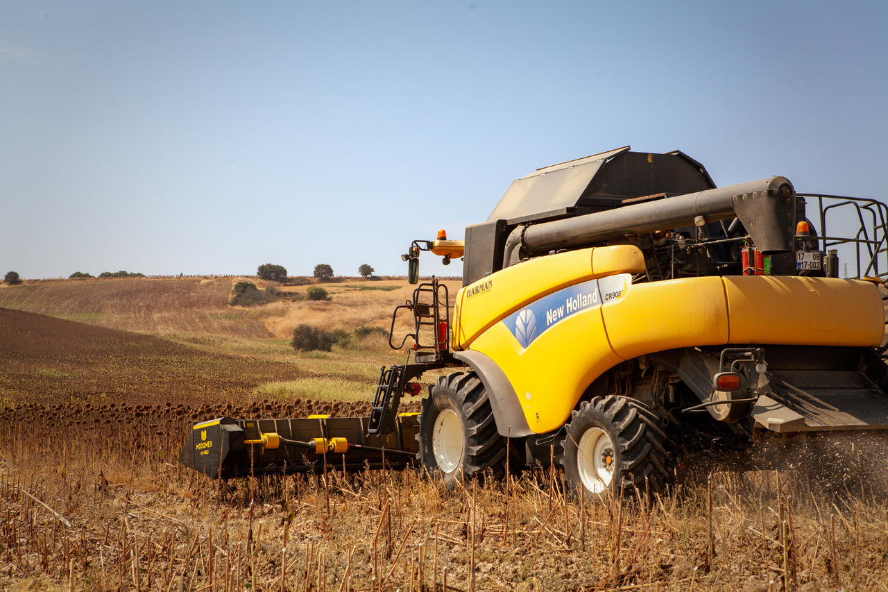 Modonex MX-630 - Päevalillekoristusmasin: pilt 3 Modonex MX-630 - Päevalillekoristusmasin: pilt 3