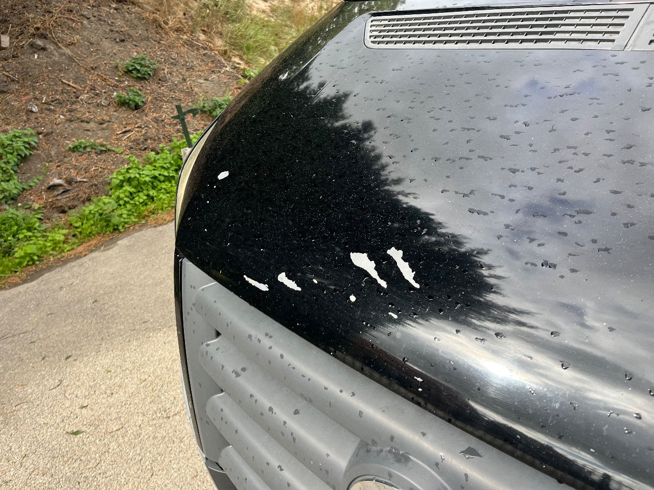 Volkswagen Crafter - Kaubik: pilt 5 Volkswagen Crafter - Kaubik: pilt 5