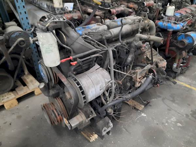 DAF WS242L - Mootor - Buss: pilt 1 DAF WS242L - Mootor - Buss: pilt 1