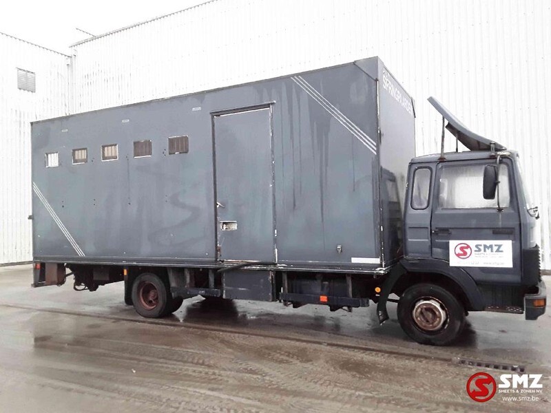 Iveco Magirus 80 16 horse truck - Loomaveok: pilt 4 Iveco Magirus 80 16 horse truck - Loomaveok: pilt 4