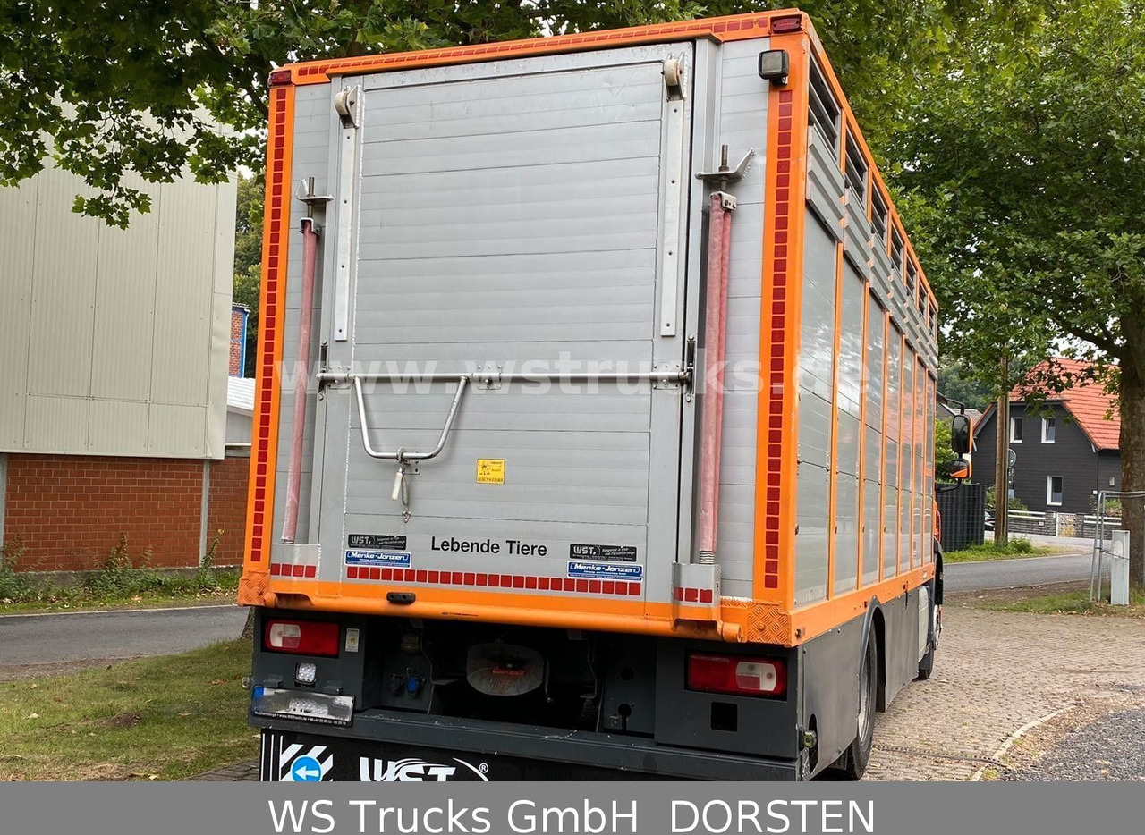 DAF CF 400 Menke Einstock - Hobuseauto: pilt 3 DAF CF 400 Menke Einstock - Hobuseauto: pilt 3