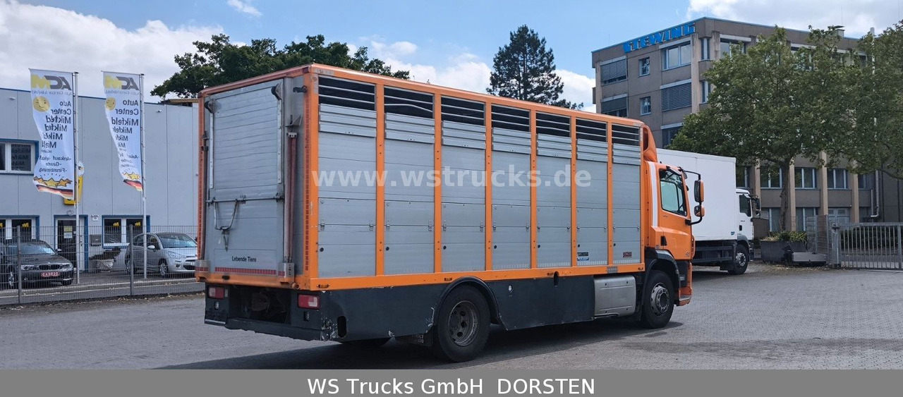 DAF CF 400 Menke Einstock - Hobuseauto: pilt 5 DAF CF 400 Menke Einstock - Hobuseauto: pilt 5