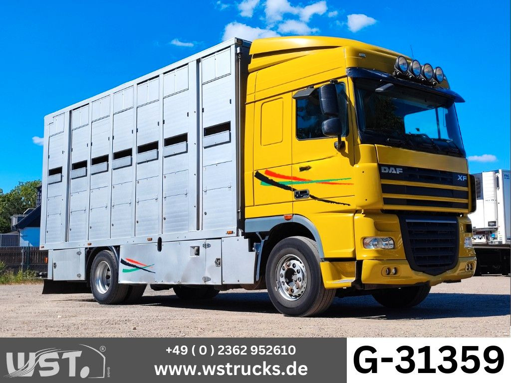 DAF XF 410 SC Menke Doppelstock - Hobuseauto: pilt 1 DAF XF 410 SC Menke Doppelstock - Hobuseauto: pilt 1
