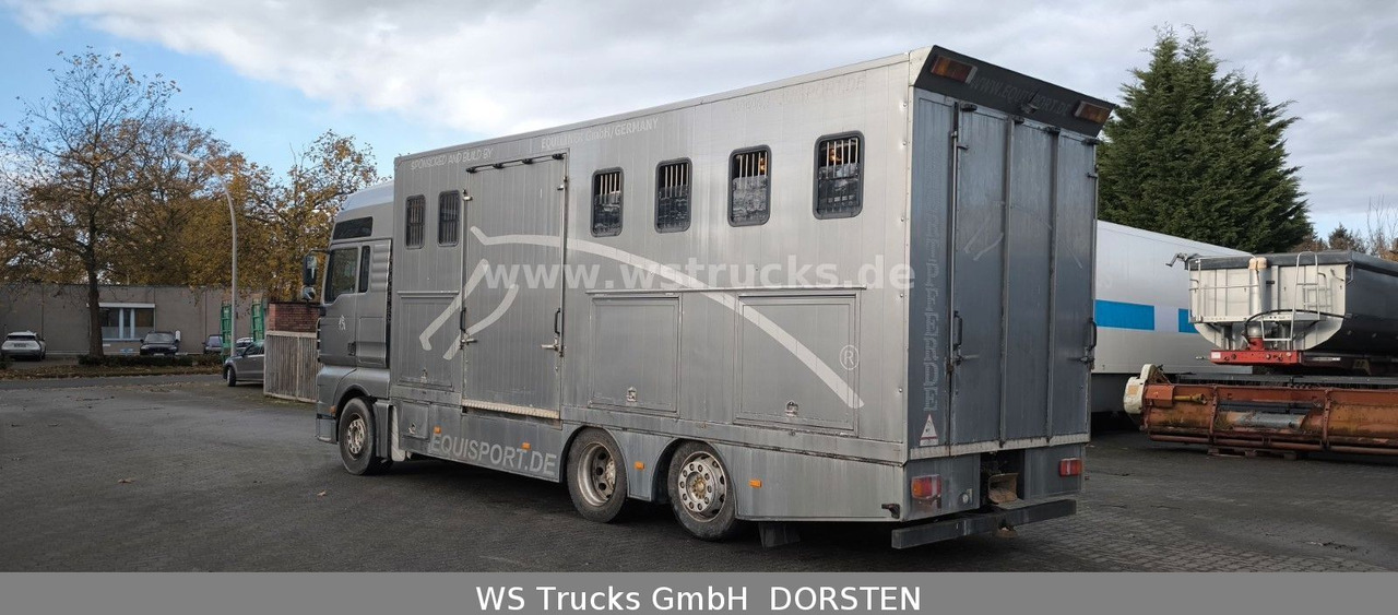 MAN TGA 26.480 FG 6x2 Pferdetransporter Luft/Luft - Hobuseauto: pilt 5 MAN TGA 26.480 FG 6x2 Pferdetransporter Luft/Luft - Hobuseauto: pilt 5