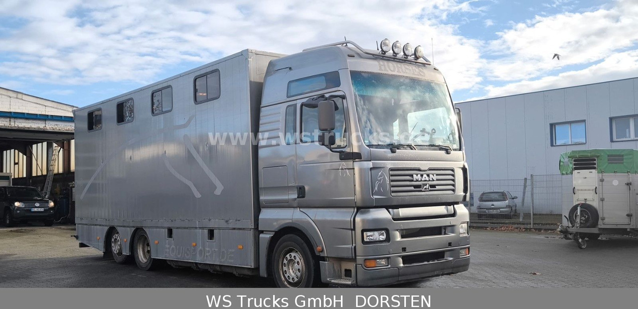 MAN TGA 26.480 FG 6x2 Pferdetransporter Luft/Luft - Hobuseauto: pilt 3 MAN TGA 26.480 FG 6x2 Pferdetransporter Luft/Luft - Hobuseauto: pilt 3