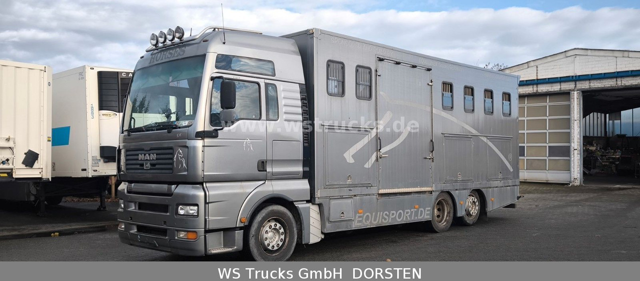 MAN TGA 26.480 FG 6x2 Pferdetransporter Luft/Luft - Hobuseauto: pilt 2 MAN TGA 26.480 FG 6x2 Pferdetransporter Luft/Luft - Hobuseauto: pilt 2
