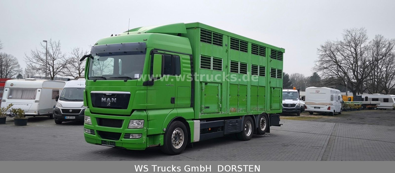 MAN TGX 26.480 XL KABA 3 Stock Vollalu - Hobuseauto: pilt 2 MAN TGX 26.480 XL KABA 3 Stock Vollalu - Hobuseauto: pilt 2