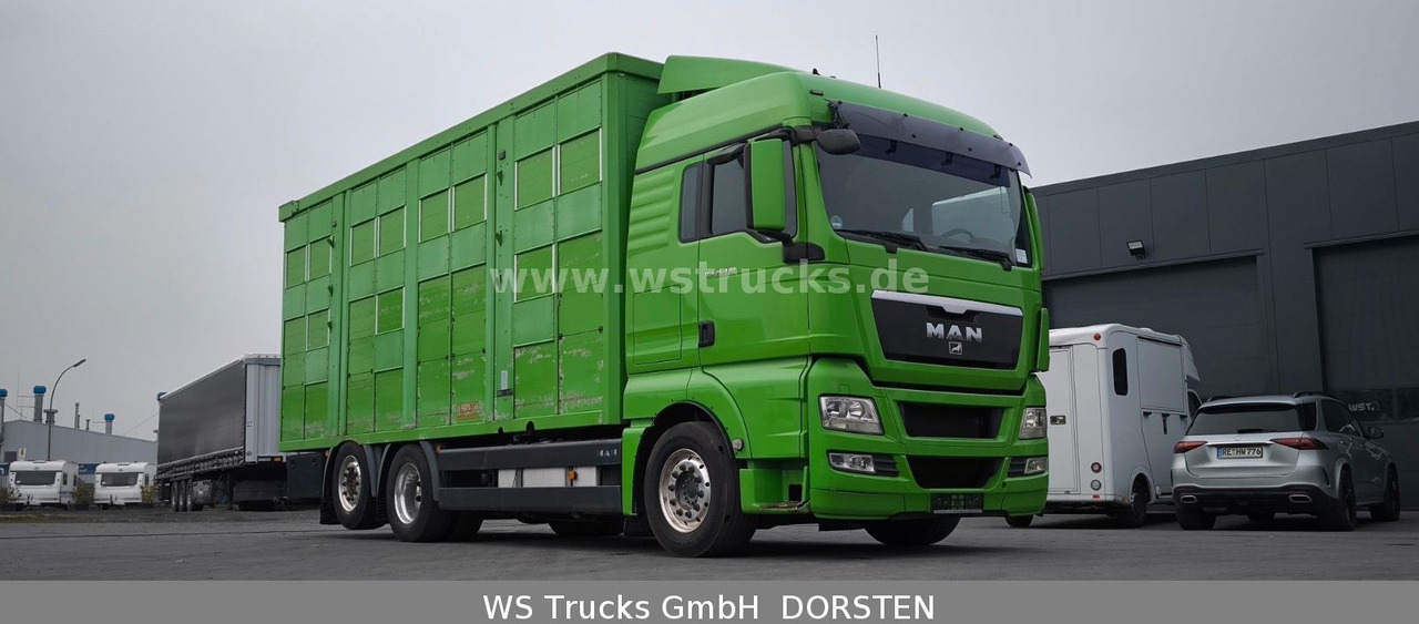 MAN TGX 26.480 XL KABA 3 Stock Vollalu - Hobuseauto: pilt 4 MAN TGX 26.480 XL KABA 3 Stock Vollalu - Hobuseauto: pilt 4