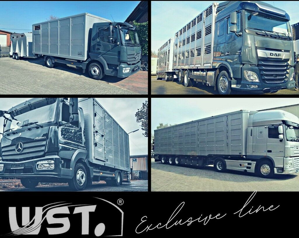 Auto Mercedes-Benz Sprinter II Kasten 216 CDI Hoch/Lang: pilt 13