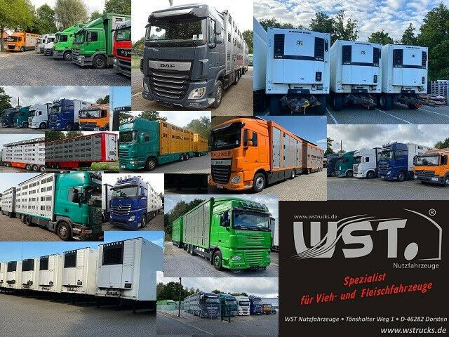 Tarbesõiduk kallur, Meeskonnaauto Mitsubishi Canter-DREISEITENKIPPER-DoKa-7.SITZER-EURO6: pilt 24