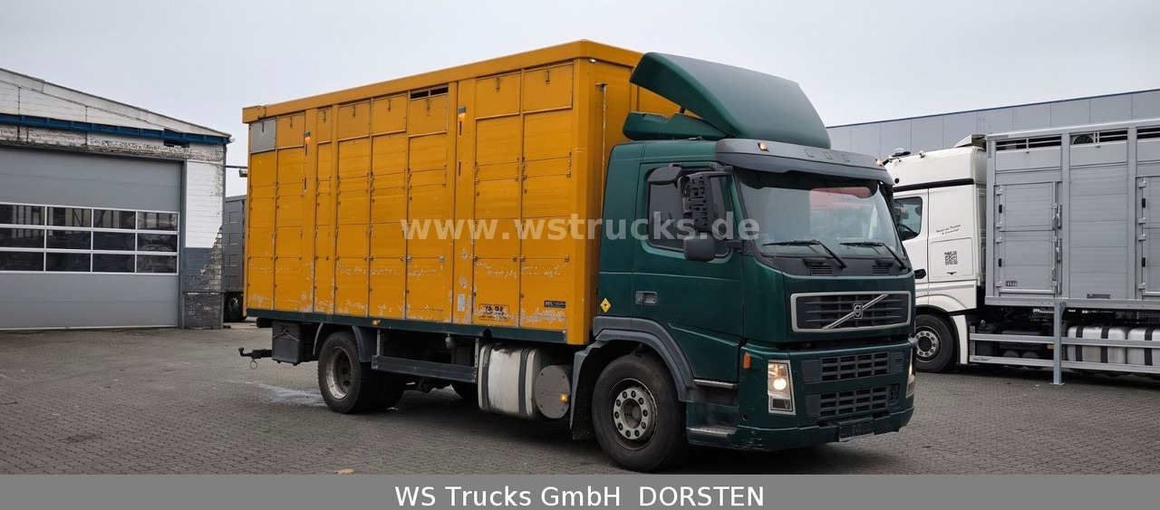 Volvo FM 260 mit KABA 2 Stock Vollalu Viehtransporter - Hobuseauto: pilt 3 Volvo FM 260 mit KABA 2 Stock Vollalu Viehtransporter - Hobuseauto: pilt 3
