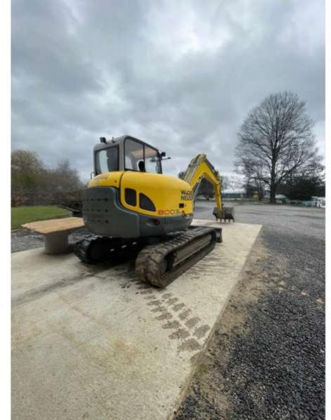 Wacker Neuson 8003 - Lintekskavaator: pilt 1 Wacker Neuson 8003 - Lintekskavaator: pilt 1
