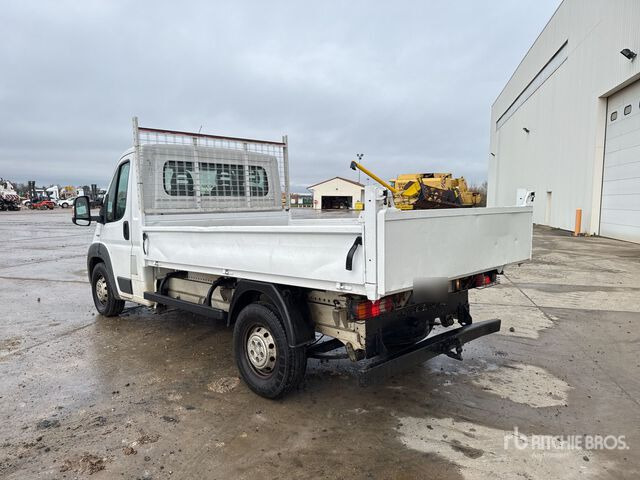2015 Fiat Ducato Maxi 130 Multijet 4x2 Camion Benne Dump Truck: Light Duty - Kallurauto: pilt 3 2015 Fiat Ducato Maxi 130 Multijet 4x2 Camion Benne Dump Truck: Light Duty - Kallurauto: pilt 3