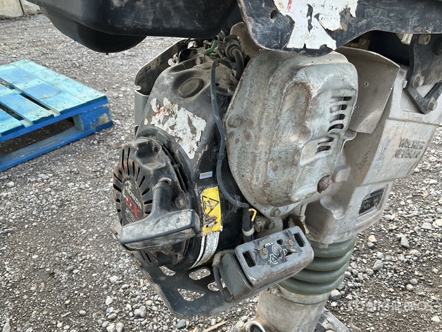2018 Wacker Neuson BS50-4AS Jumping Jack Tamper - Tambits: pilt 5 2018 Wacker Neuson BS50-4AS Jumping Jack Tamper - Tambits: pilt 5