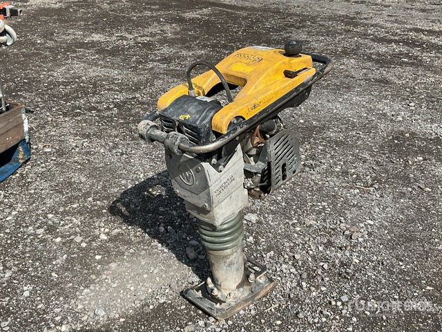 2018 Wacker Neuson BS50-4AS Jumping Jack Tamper - Tambits: pilt 1 2018 Wacker Neuson BS50-4AS Jumping Jack Tamper - Tambits: pilt 1
