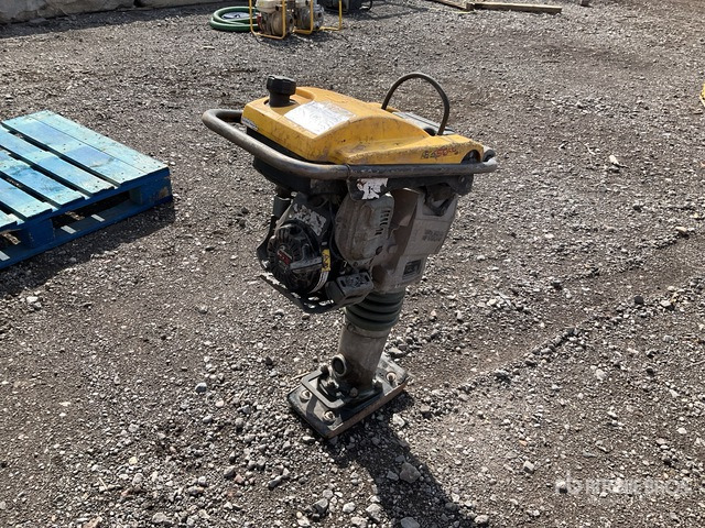 2018 Wacker Neuson BS50-4AS Jumping Jack Tamper - Tambits: pilt 4 2018 Wacker Neuson BS50-4AS Jumping Jack Tamper - Tambits: pilt 4