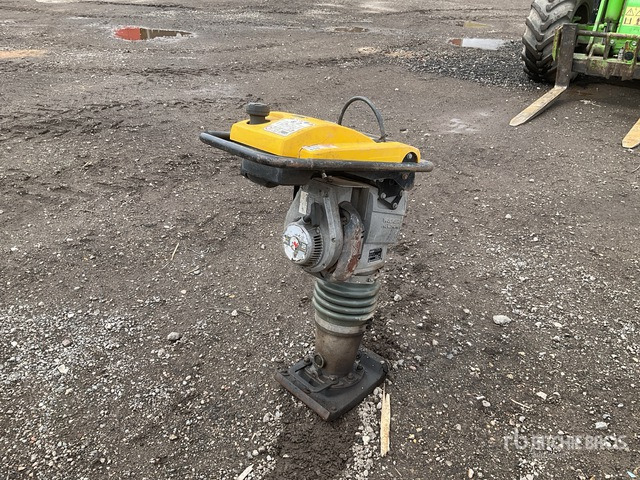 2021 Wacker Neuson BS60-2 Jumping Jack Tamper - Tambits: pilt 4 2021 Wacker Neuson BS60-2 Jumping Jack Tamper - Tambits: pilt 4