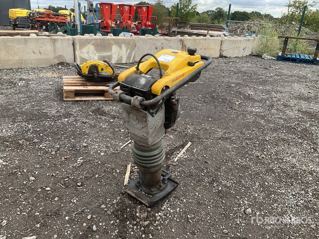 2021 Wacker Neuson BS60-2I Jumping Jack Tamper - Tambits: pilt 1 2021 Wacker Neuson BS60-2I Jumping Jack Tamper - Tambits: pilt 1