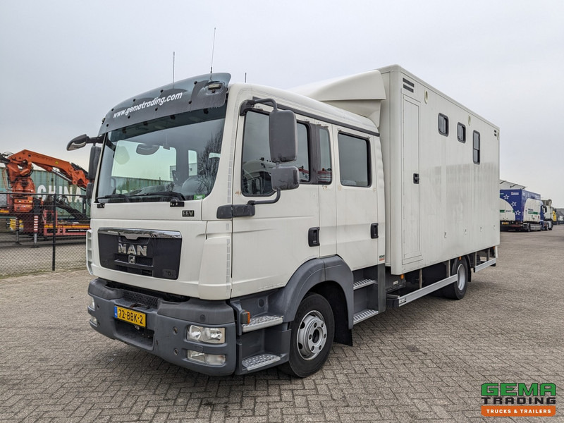 MAN TGL 12.180 4x2 DoKa 7 pers. Euro5 EEV - Paardenwagen 2-Paards - 147.000km! - MARGE - Hobuseauto: pilt 3 MAN TGL 12.180 4x2 DoKa 7 pers. Euro5 EEV - Paardenwagen 2-Paards - 147.000km! - MARGE - Hobuseauto: pilt 3