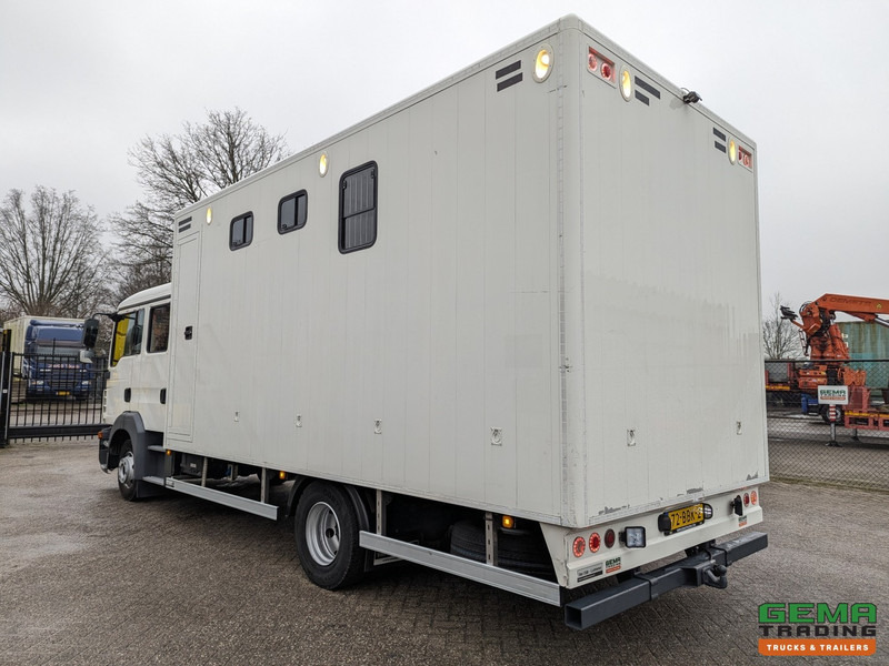 MAN TGL 12.180 4x2 DoKa 7 pers. Euro5 EEV - Paardenwagen 2-Paards - 147.000km! - MARGE - Hobuseauto: pilt 4 MAN TGL 12.180 4x2 DoKa 7 pers. Euro5 EEV - Paardenwagen 2-Paards - 147.000km! - MARGE - Hobuseauto: pilt 4