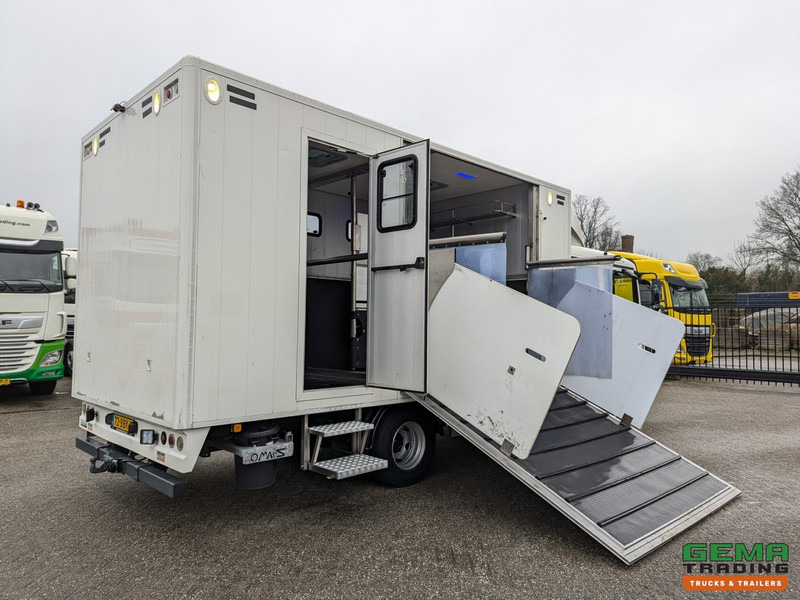 MAN TGL 12.180 4x2 DoKa 7 pers. Euro5 EEV - Paardenwagen 2-Paards - 147.000km! - MARGE - Hobuseauto: pilt 2 MAN TGL 12.180 4x2 DoKa 7 pers. Euro5 EEV - Paardenwagen 2-Paards - 147.000km! - MARGE - Hobuseauto: pilt 2