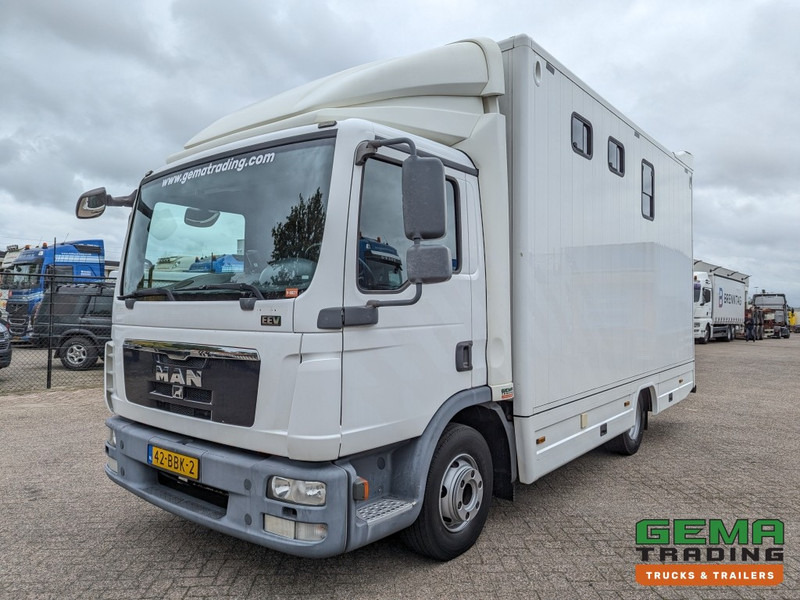 MAN TGL 12.250 4x2 Euro5 EEV RC HorseTruck - 2a3 Paards - 135.000km - MARGE (V821) - Hobuseauto: pilt 2 MAN TGL 12.250 4x2 Euro5 EEV RC HorseTruck - 2a3 Paards - 135.000km - MARGE (V821) - Hobuseauto: pilt 2