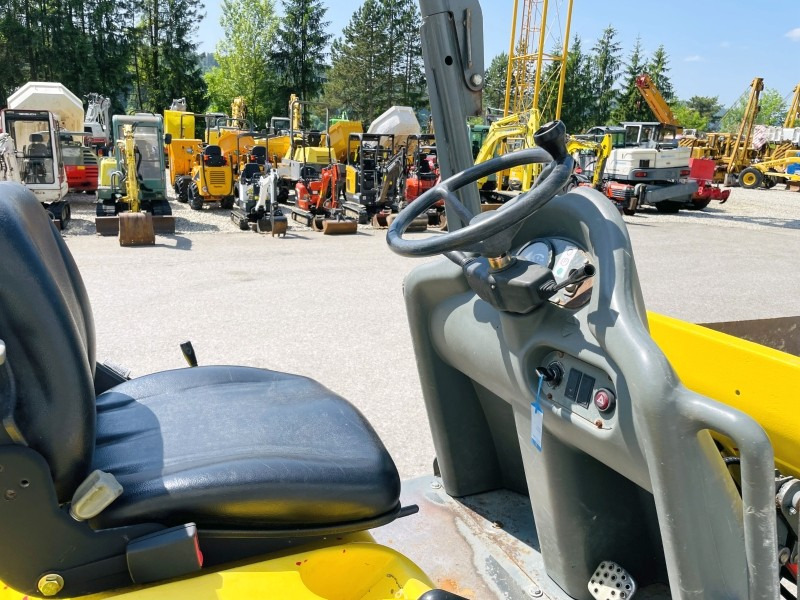 Neuson 1001 (3631) - Mini kallur: pilt 5 Neuson 1001 (3631) - Mini kallur: pilt 5
