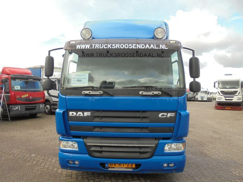 DAF CF 75.250 + Euro 5 - Kabiinišassiiga veoauto: pilt 2 DAF CF 75.250 + Euro 5 - Kabiinišassiiga veoauto: pilt 2