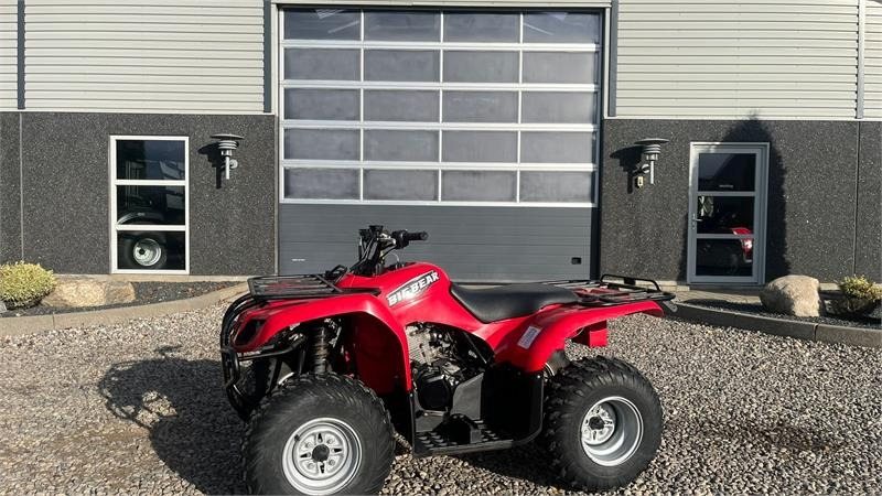 Yamaha Big bear 250 - ATV: pilt 1 Yamaha Big bear 250 - ATV: pilt 1