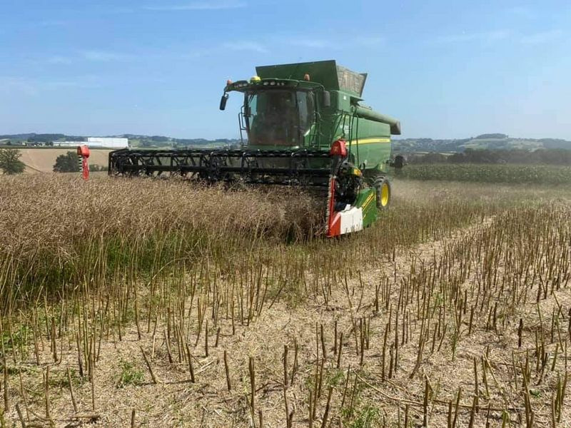 Cressoni CRX 6,6m Sojaflex - Kombaini päis: pilt 3 Cressoni CRX 6,6m Sojaflex - Kombaini päis: pilt 3