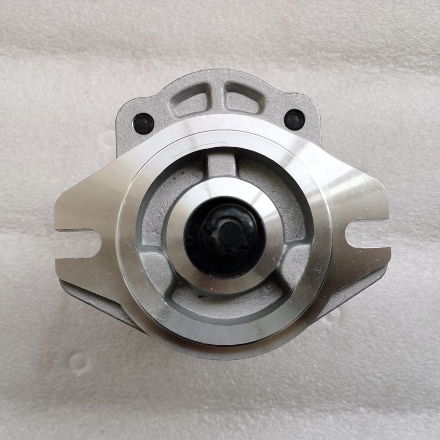 QINGDAO PROMISING Hydraulic Pump CBWA-F314-AL5Φ9 - Hüdrauliline pump - Rataslaadur: pilt 3 QINGDAO PROMISING Hydraulic Pump CBWA-F314-AL5Φ9 - Hüdrauliline pump - Rataslaadur: pilt 3