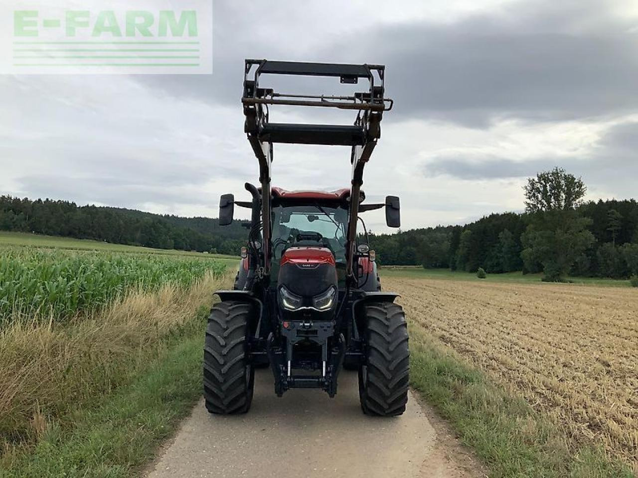 Case-IH maxxum 125 cvx CVX - Traktor: pilt 3 Case-IH maxxum 125 cvx CVX - Traktor: pilt 3