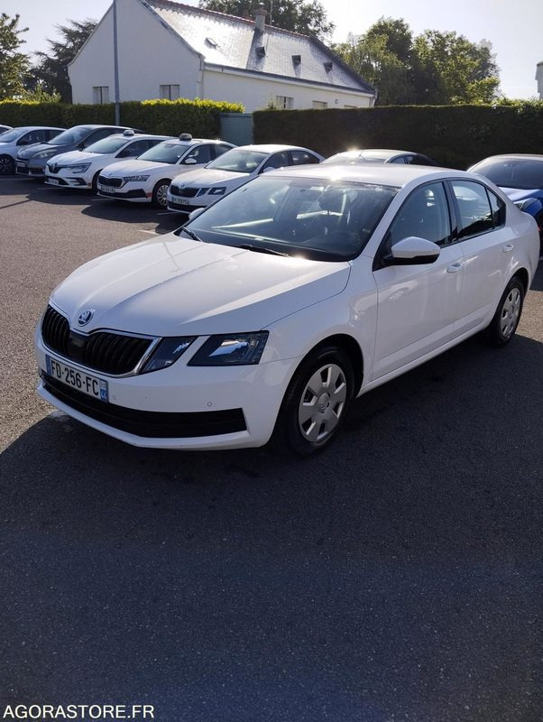 FD-256-FC - Roulant - SKODA OCTAVIA - VP - 417 000 Kms - Auto: pilt 2 FD-256-FC - Roulant - SKODA OCTAVIA - VP - 417 000 Kms - Auto: pilt 2