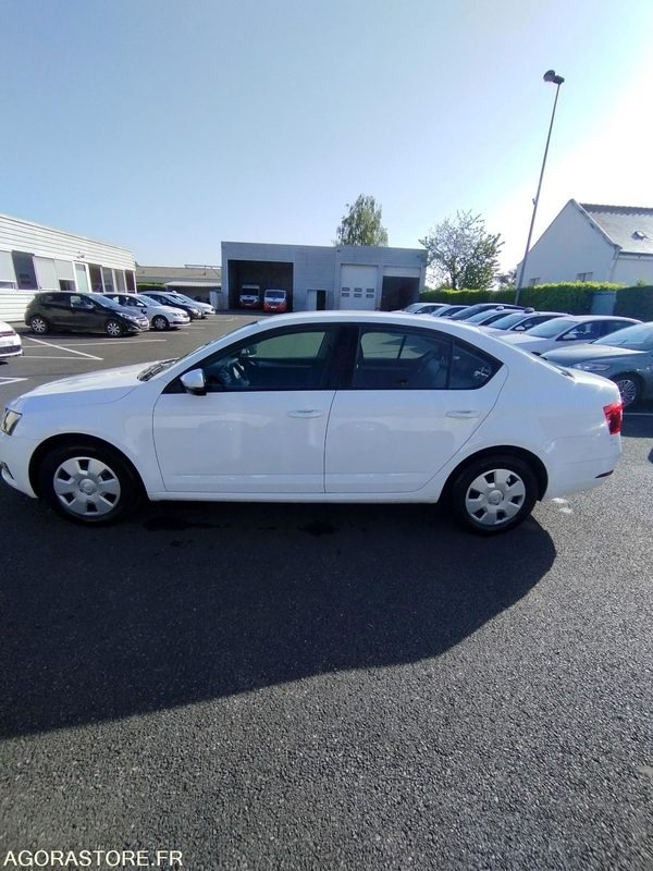 FD-256-FC - Roulant - SKODA OCTAVIA - VP - 417 000 Kms - Auto: pilt 3 FD-256-FC - Roulant - SKODA OCTAVIA - VP - 417 000 Kms - Auto: pilt 3