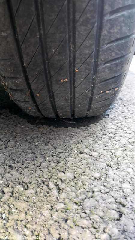 Renault Clio - Auto: pilt 5 Renault Clio - Auto: pilt 5