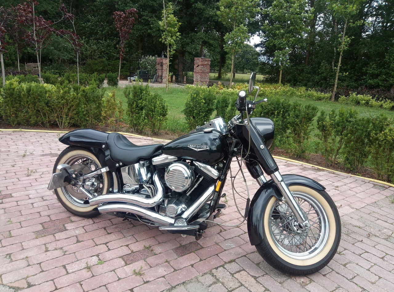 Harley-Davidson Custom Custom - Mootorratas: pilt 4 Harley-Davidson Custom Custom - Mootorratas: pilt 4