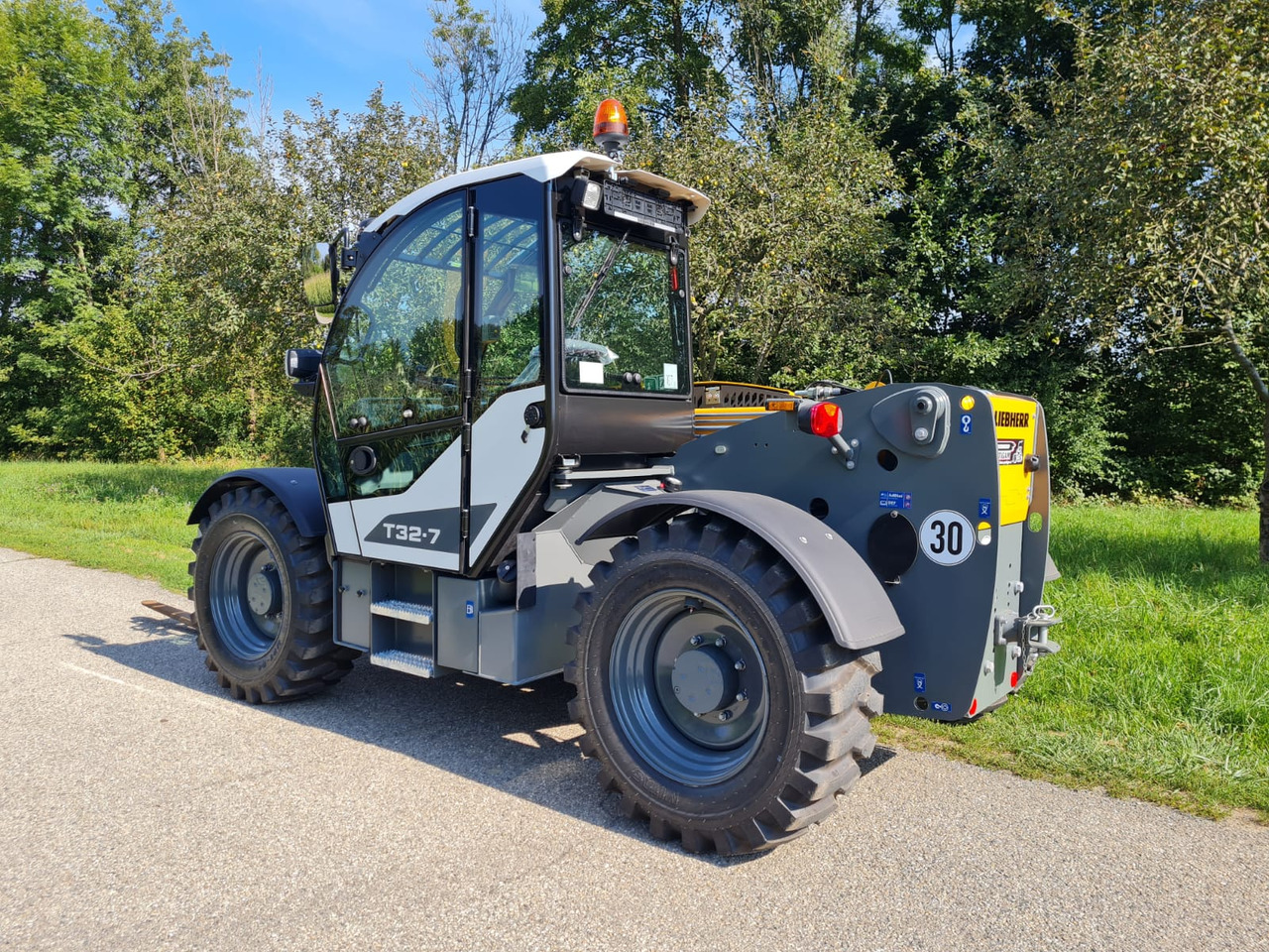 Teleskooplaadur LIEBHERR T 32-7: pilt 7