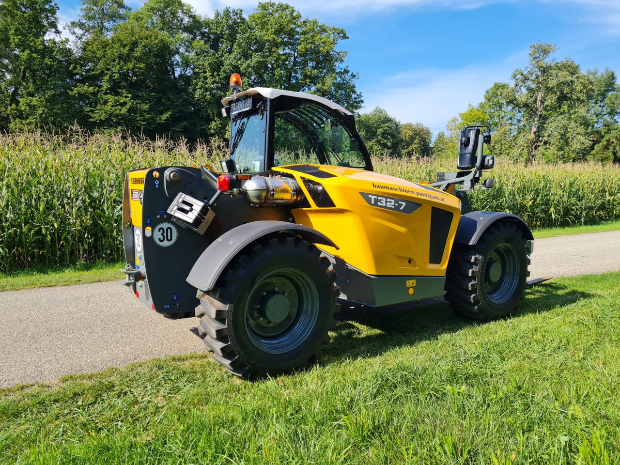 Teleskooplaadur LIEBHERR T 32-7: pilt 9