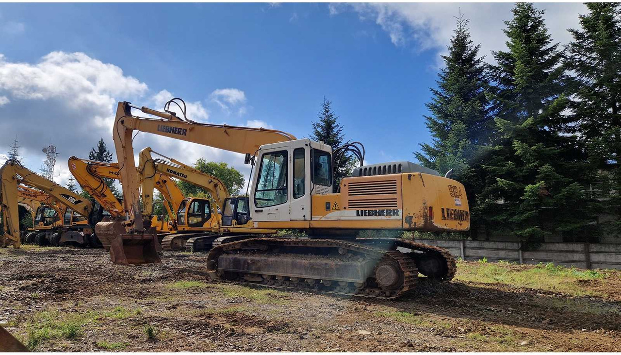 Ekskavaator 2006 LIEBHERR R924B LONG REACH TRACKED EXCAVATOR: pilt 11