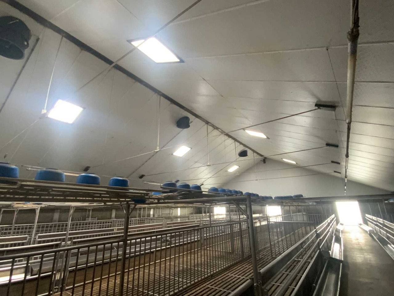 Complete prefab barn with solar panel installation - Loomakasvatusseadmed: pilt 5 Complete prefab barn with solar panel installation - Loomakasvatusseadmed: pilt 5